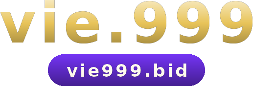 vie.999 logo